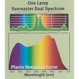 SUNMASTER Dual Spectrum High Pressure Sodium lamp, 600W