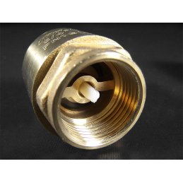 Check valve 1.9cm (3/4), internal thread