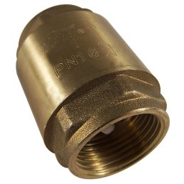 Check valve 2.54cm(1), internal thread