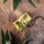 Pineapple Kush Papers Sticky Size 100 Blatt ungebleicht