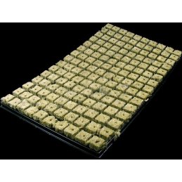 Cultilène clone tray 150, 53 x 31cm