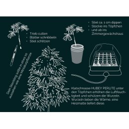 HUBEY BIO ROOTING GEL - Bewurzelungsmittel für Stecklinge
