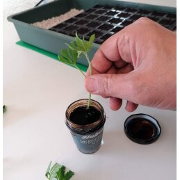 HUBEY BIO ROOTING GEL - Bewurzelungsmittel für Stecklinge