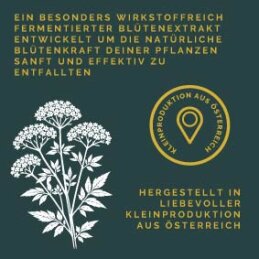 HUBEY BALDRIANBLÜTEN EXTRAKT 100 mlt mit Pipette - Natürlicher Blütenbooster für kräftige Blütenbildung