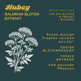 HUBEY BALDRIANBLÜTEN EXTRAKT 100 mlt mit Pipette - Natürlicher Blütenbooster für kräftige Blütenbildung