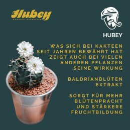 HUBEY BALDRIANBLÜTEN EXTRAKT 100 mlt mit Pipette - Natürlicher Blütenbooster für kräftige Blütenbildung