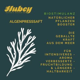 HUBEY ALGENPRESSSAFT 100 ml - natürlicher Pflanzenbooster aus dem Meer