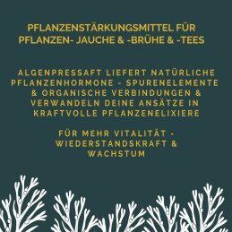 HUBEY ALGENPRESSSAFT 100 ml - natürlicher Pflanzenbooster aus dem Meer